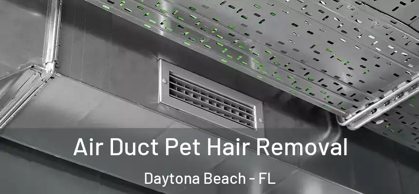Air Duct Pet Hair Removal Daytona Beach - FL