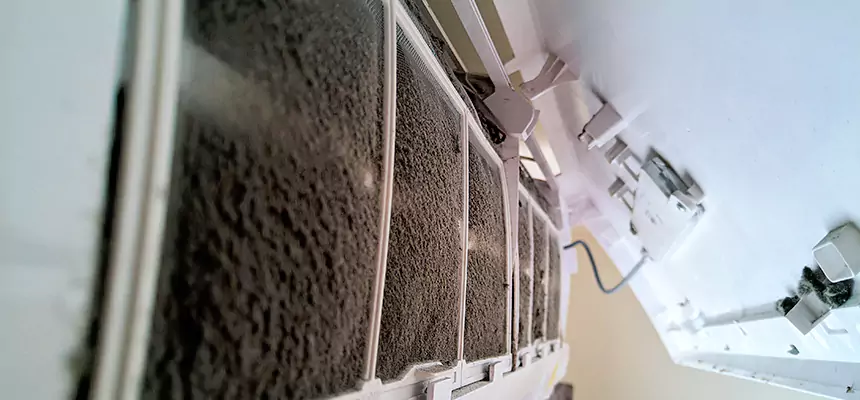 Preventive Air Duct Bacteria Removal in Daytona Beach