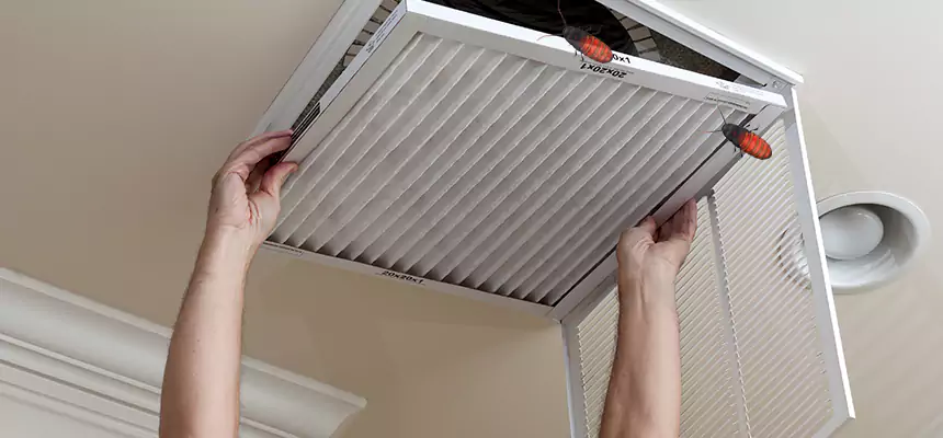 Preventive Cockroach-Proofing for Ducts in Daytona Beach