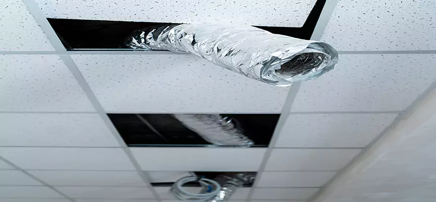 Our Air Duct Pet Hair Removal Services in Daytona Beach, FL