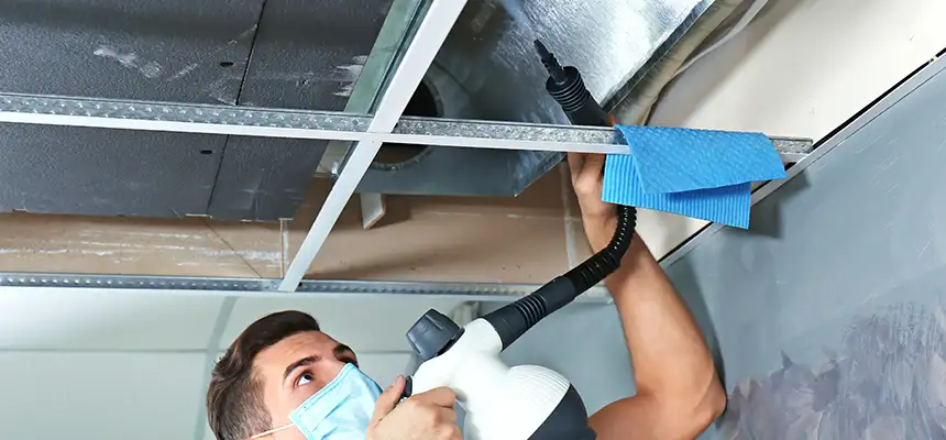 Our Air Duct Rodent Removal Services in Daytona Beach, FL