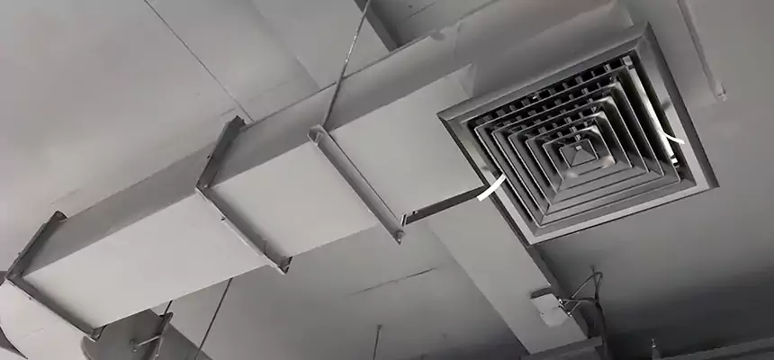 Restorative Allergy Relief Vent Cleaning – Coil, Blower & Housing Detail in Daytona Beach