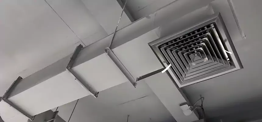 Our Pest Removal From Ducts Services in Daytona Beach, FL