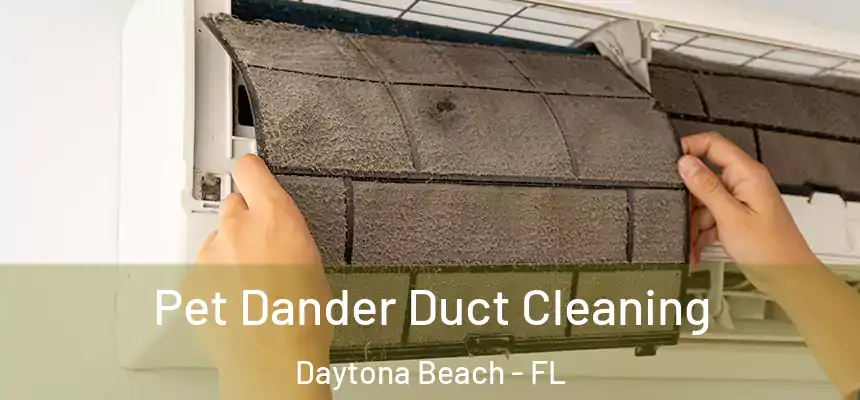 Pet Dander Duct Cleaning Daytona Beach - FL