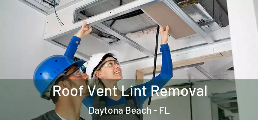 Roof Vent Lint Removal Daytona Beach - FL
