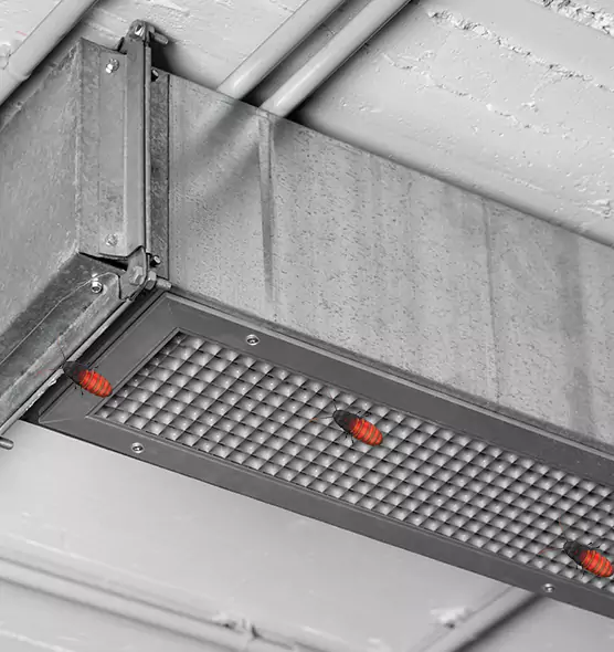 About Air Duct Cockroach Removal in Daytona Beach, FL