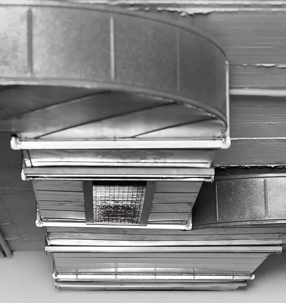 Professional Air Duct Pest Removal in Daytona Beach, FL