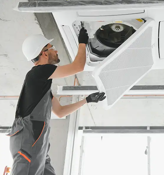 About Air Duct Rodent Removal in Daytona Beach, FL