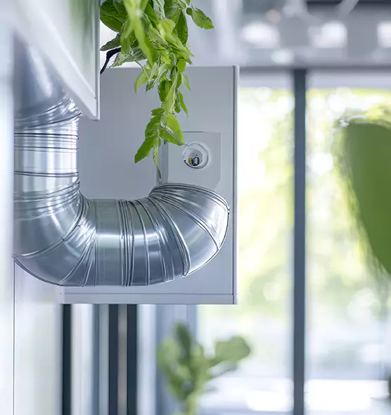 Professional Eco-Friendly Duct Cleaning Services in Daytona Beach, FL