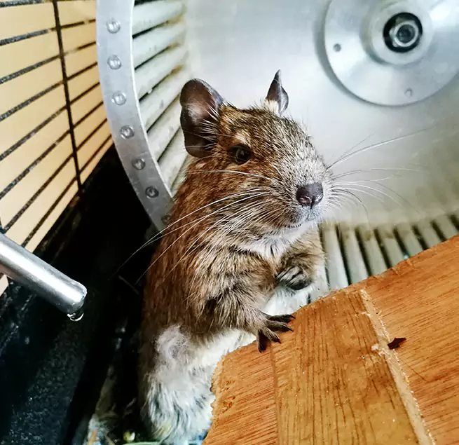 Why Homeowners & Businesses Trust Us Daytona Beach, FL?