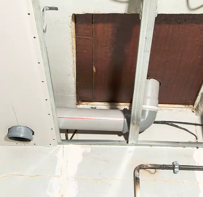 Why Homeowners & Businesses Trust Us in Daytona Beach, FL?