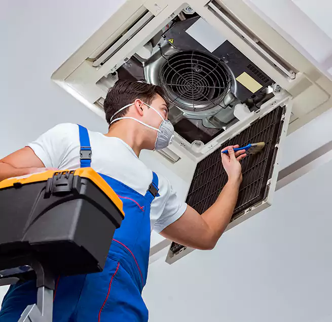 Why Homeowners & Businesses Trust Us in Daytona Beach, FL