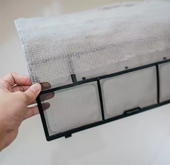 Why Homeowners & Businesses Trust Us in Daytona Beach, FL?