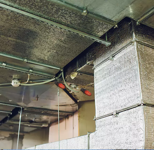 Why Homeowners & Businesses Trust Us Daytona Beach, FL?