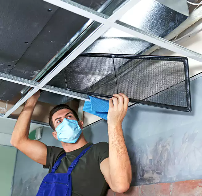 Why Homeowners Businesses Trust Us in Daytona Beach, FL