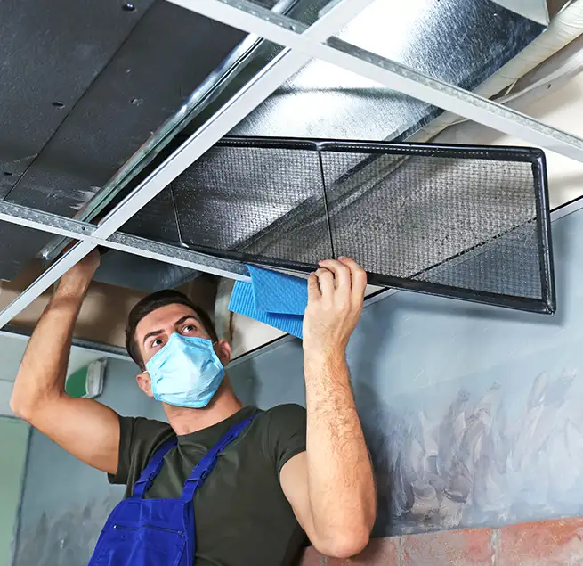 Why Homeowners & Businesses Trust Us in Daytona Beach, FL?